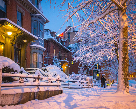 Deering Street in Snow