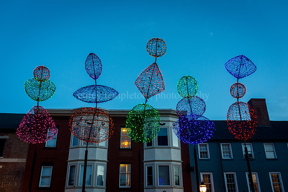 Lights at Boothby Square