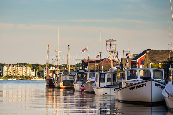 Working Waterfront Summer 1