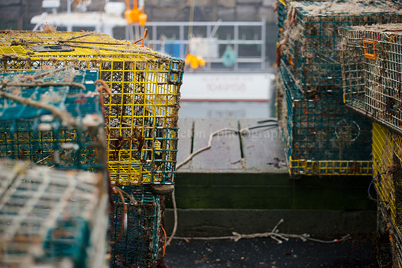 Union Wharf Traps
