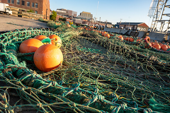 Fishing Net at Merrill's Wharf