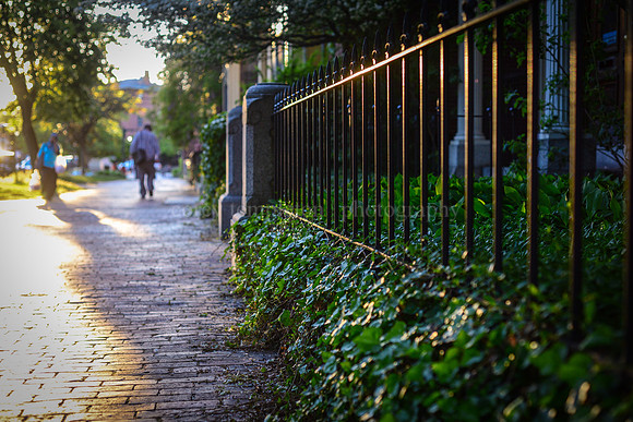 State Street Fence