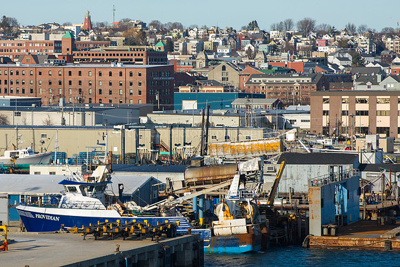Harbor to the Hill