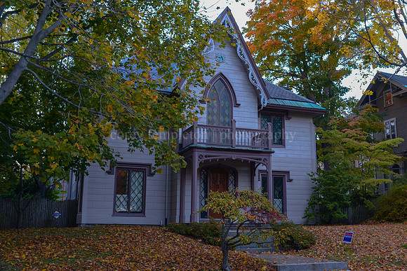 The Gothic House