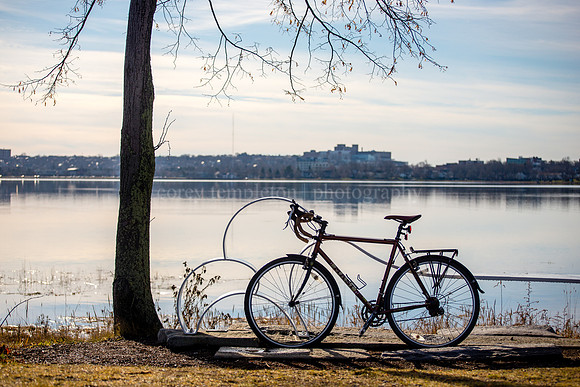 Back Cove Bicycle, Christmas Day 2015