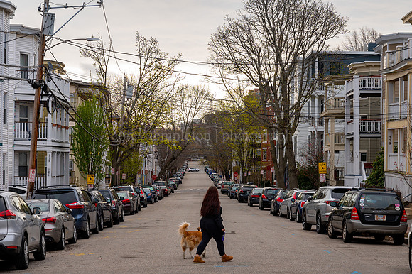 Grant Street Springtime