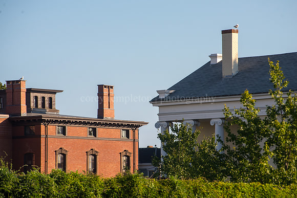 Mansions along Free Street