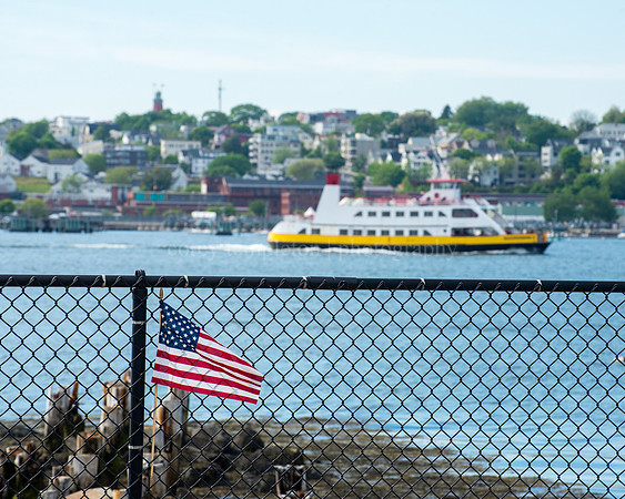 Bug Light Park, Memorial Day
