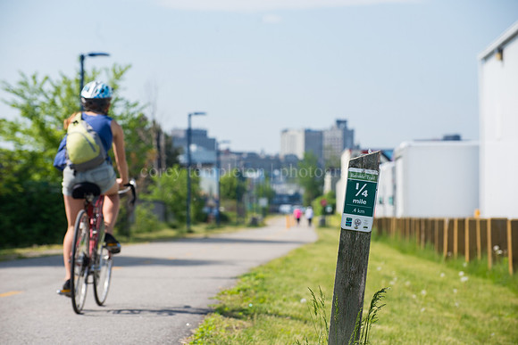 Bayside Trail Summer