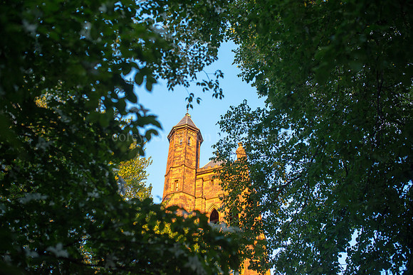State Street Church through the Leaves