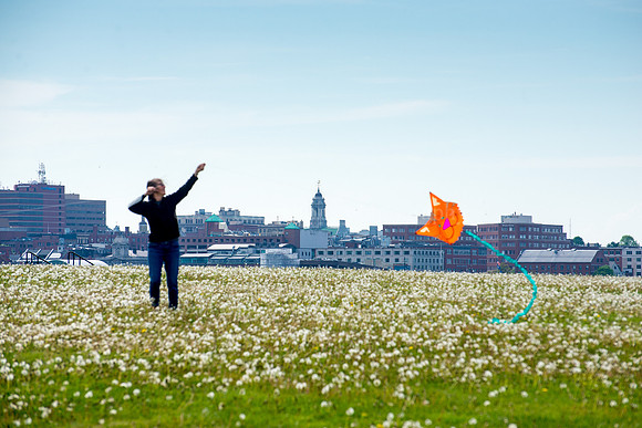 Flying a Kite in Bug Light Park
