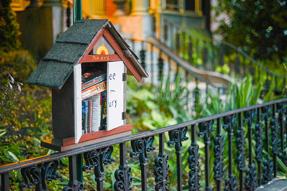 Free Library on Park Street