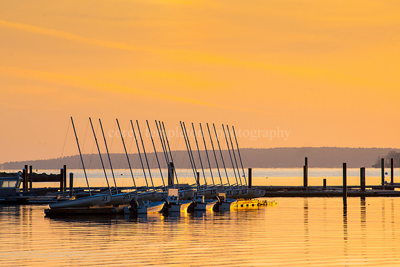 Sail Maine Morning
