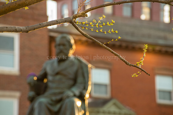 Early Spring in Longfellow Square