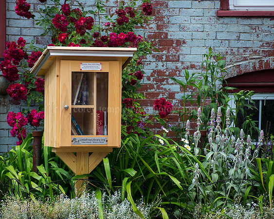 Newbury Street Little Library