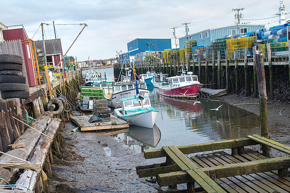 Down at Widgery Wharf
