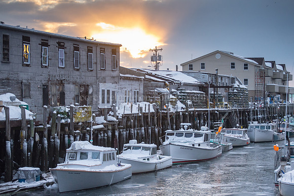 Custom House Wharf Deep Freeze