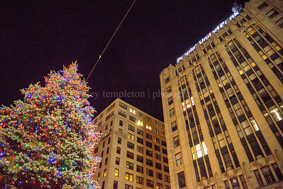 Monument Square Christmas Tree - Looking Up