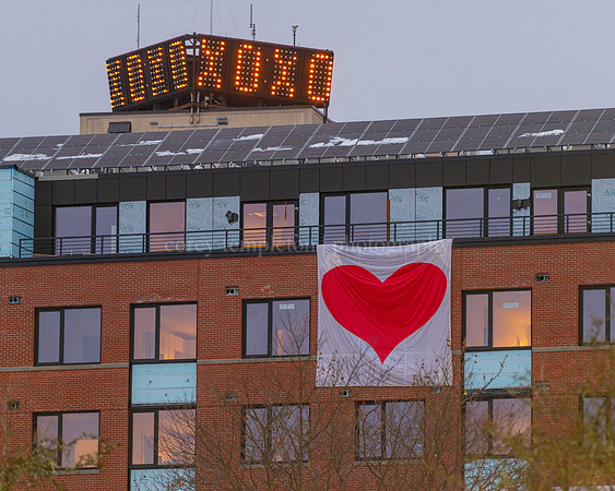 XOXO Valentines Day Heart