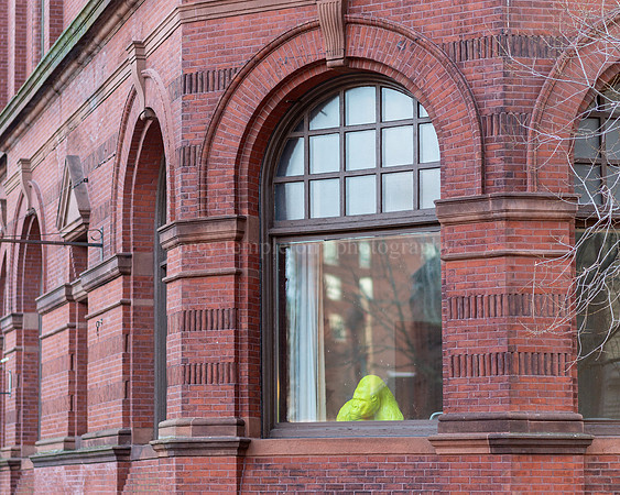 Green Gorilla on Exchange Street