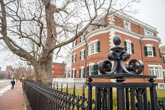 223 Western Promenade and Fence