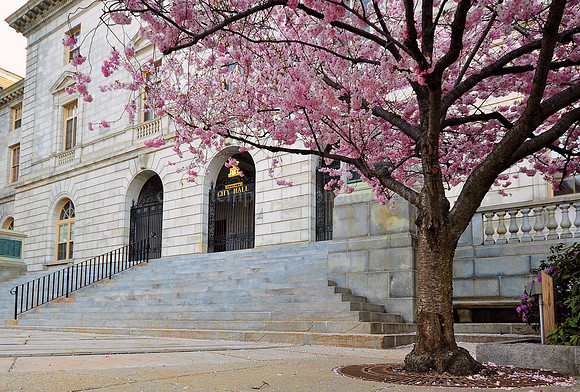 City Hall Spring Scene