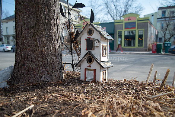 Munjoy Hill Sidewalk Birdhouse