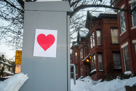 Valentine's Bandit Heart on State Street