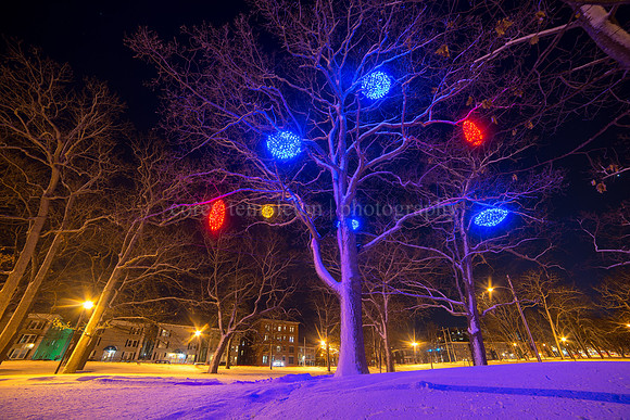 Pandora LaCasse Lights in Deering Oaks Park
