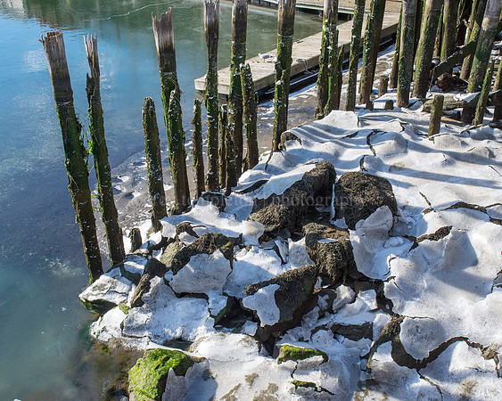 Icy Shores off Commercial Street