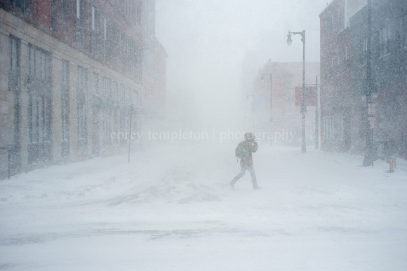 Congress and Forest During a Blizzard