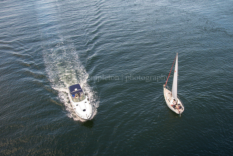 The Tortoise and the Hare in Casco Bay