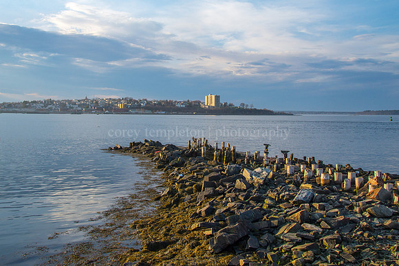 Springtime Views from Bug Light Park
