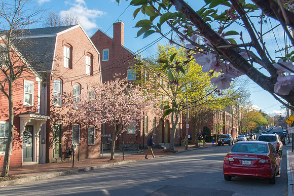 Pleasant Street on a Spring Day