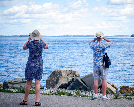 Looking for Something in Casco Bay