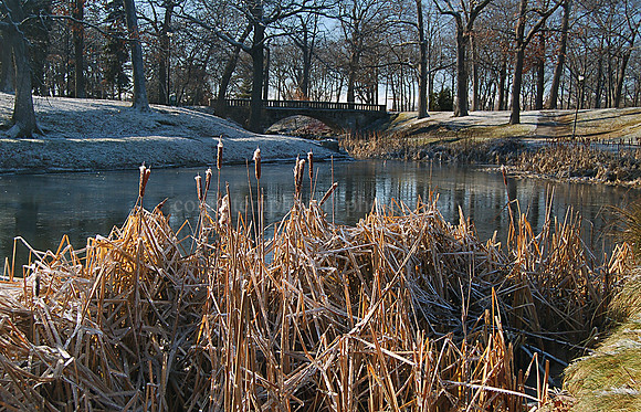 Deering Oaks