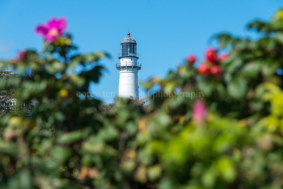 One of the Lights at Two Lights