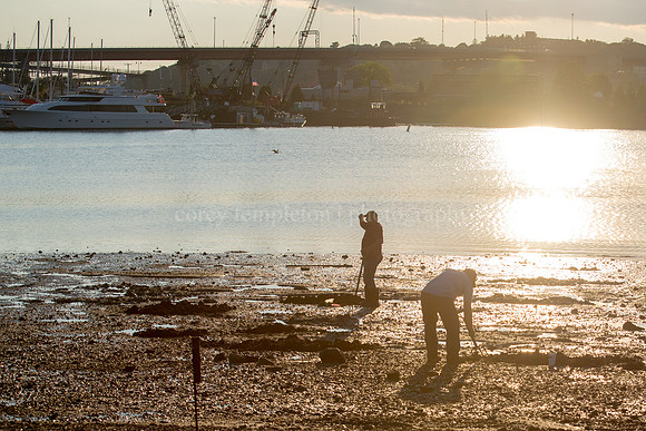 Digging for Clams in Casco Bay