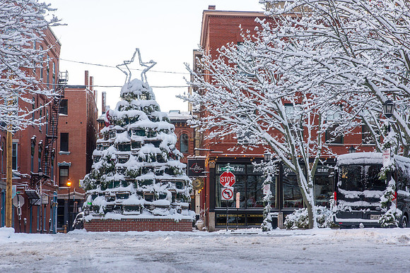 Lobster Trap Christmas Tree outside of The Regency Hotel