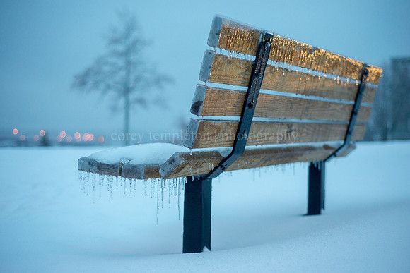 Icy Bench at Harbor View Memorial Park in the West End