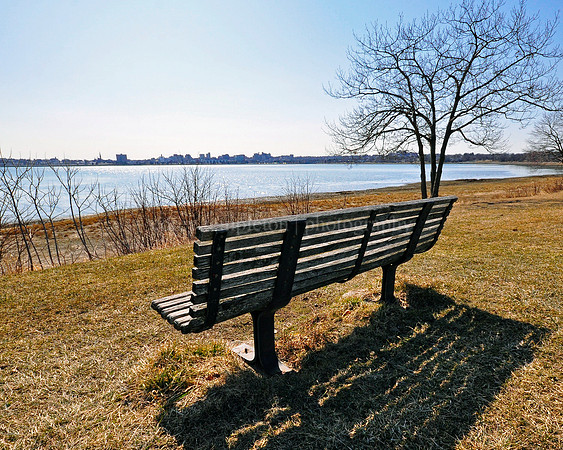 Back Cove Bench in Spring