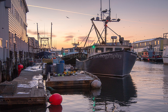 Winter Morning on Maine Wharf