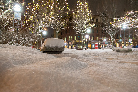 Post Office Park, Old Port Fresh Snow