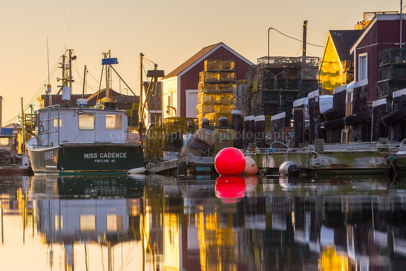 Morning Light at Widgery Wharf