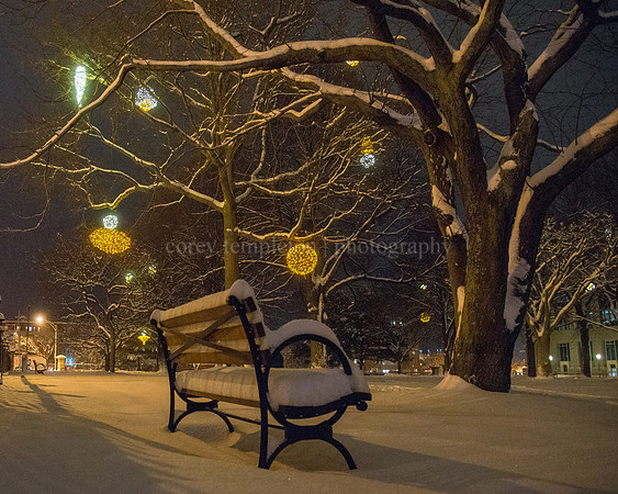 Snowy Evening at Lincoln Park