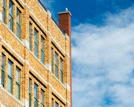 Free Street Facade of Maine College of Art