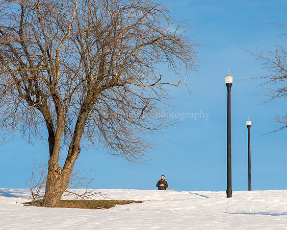 King of the Hill, on the Western Promenade