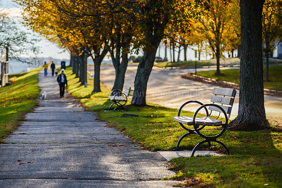 Eastern Promenade Morning Walk
