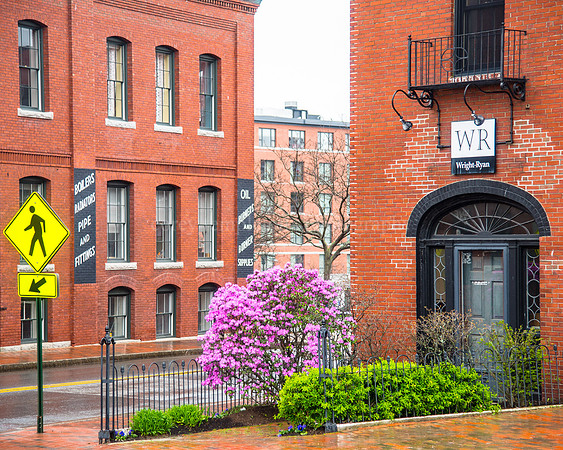 Bits of Color Between the Brick Buildings at York and Danforth S