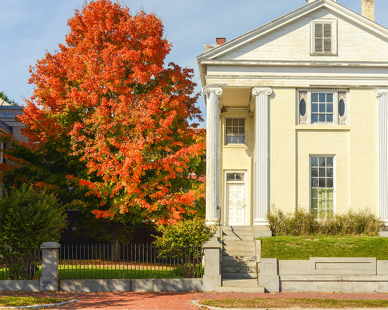 Foliage at the Museum of Art